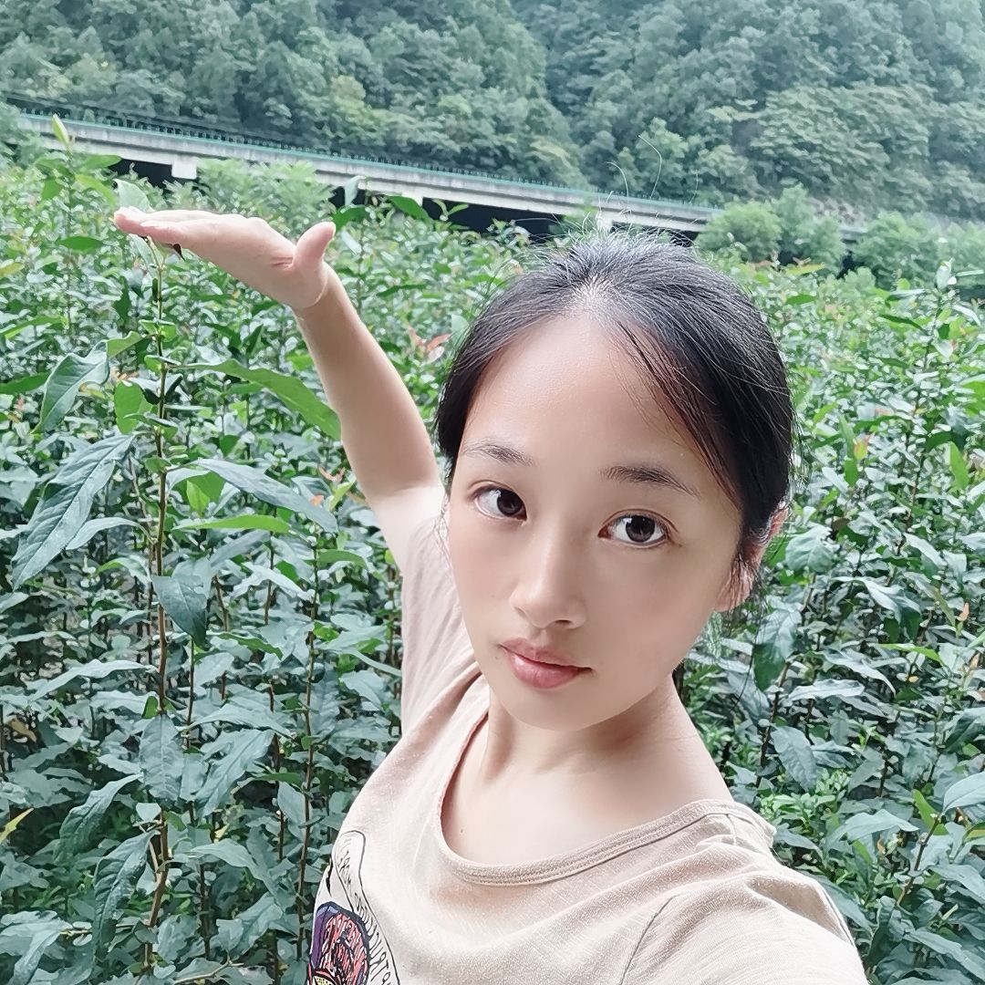 皱皮木瓜苗  皱皮木瓜树苗，无籽木瓜苗圃，产地现货直销