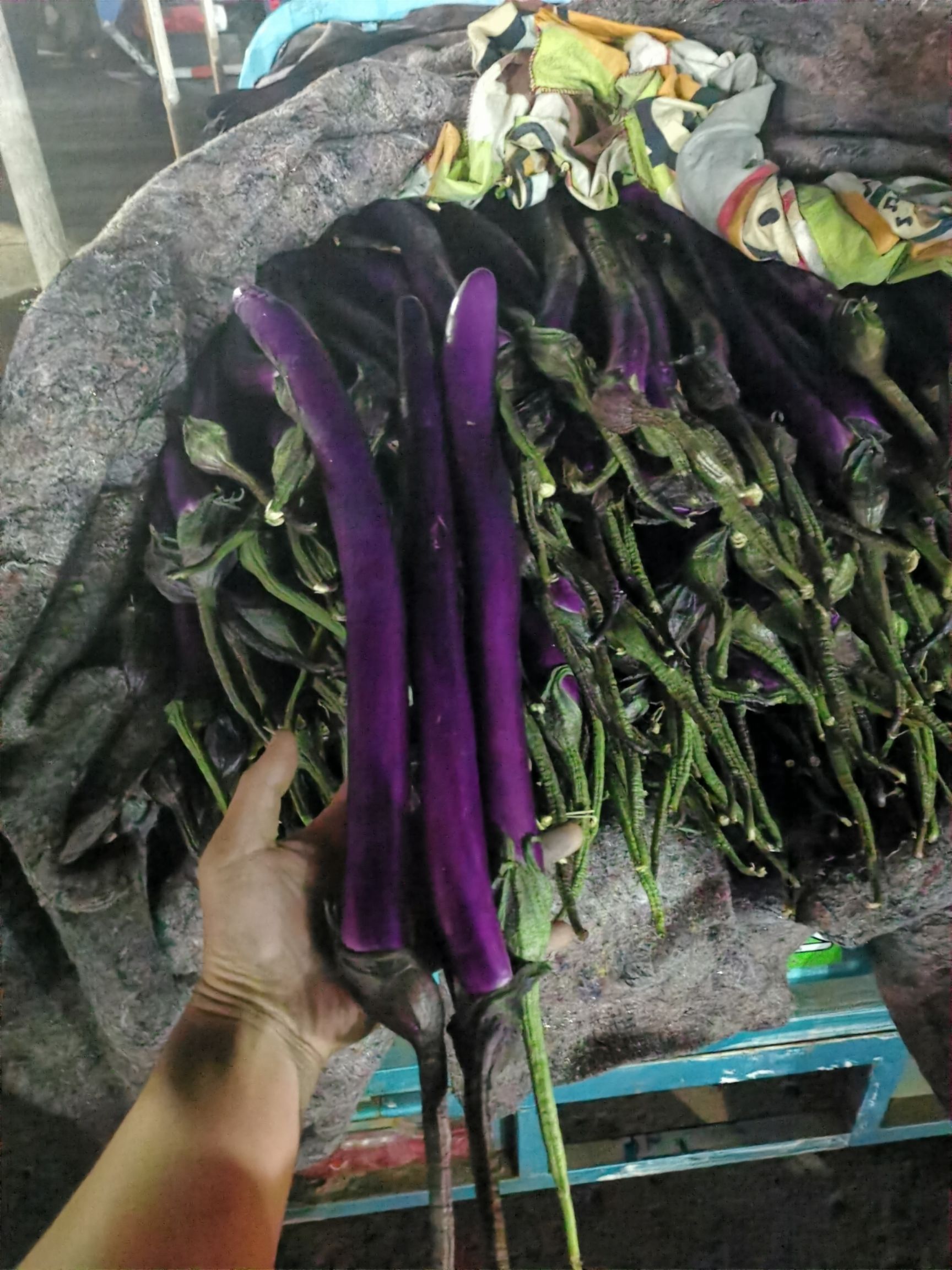 茄子 精品红线茄 产地直发大量供应