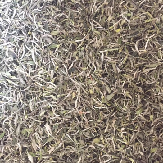 福鼎白茶  福鼎大白茶，，，牡丹，寿眉饼，白露茶等等