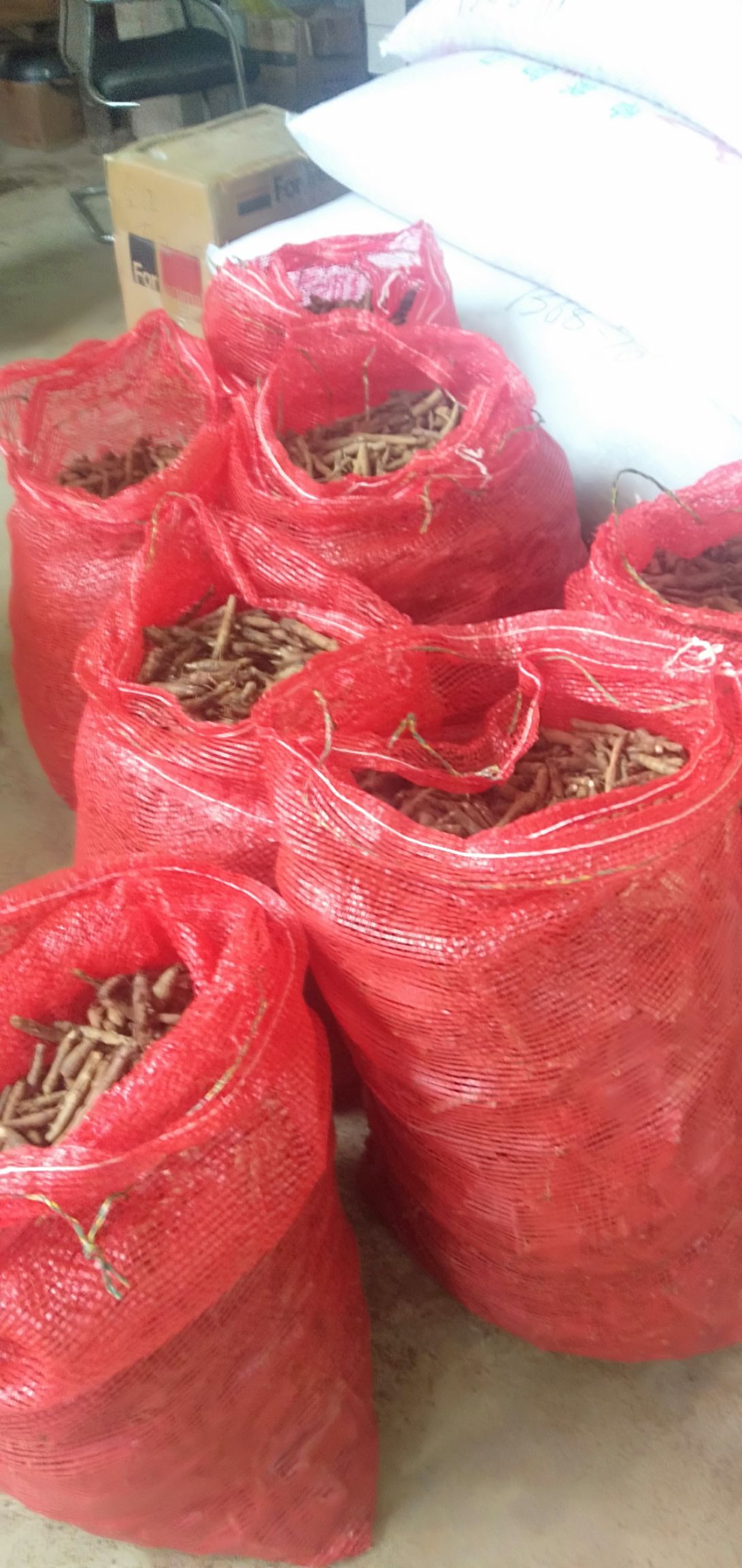 仙茅 品质好，量大，需要的老板欢迎联系我