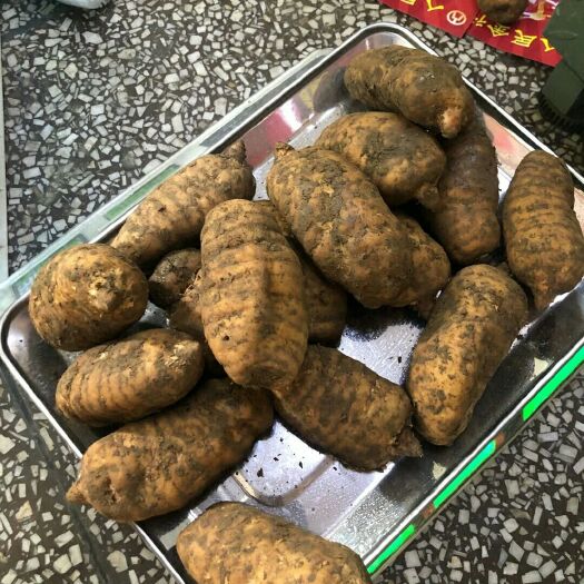 宁南县 云南昭通小草坝天麻