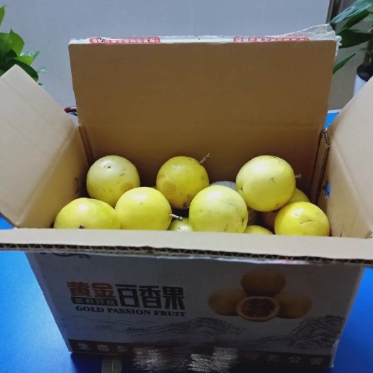 怀集县 自家小产中果黄金百香果5斤起广东包邮