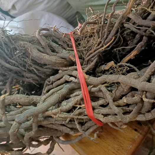 玉林 黑老虎根，钻骨风中草药风沙藤冷饭团钻山风新，入地射香