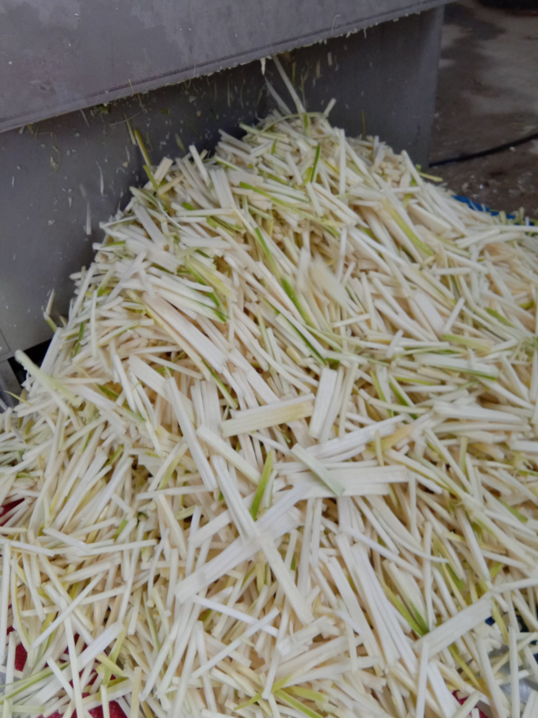 脆酸笋，螺蛳粉桂林米粉专用配菜，酒店饭店农庄小菜
