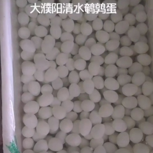 濮阳县 濮阳新鲜鹌鹑蛋，脱皮鹌鹑蛋