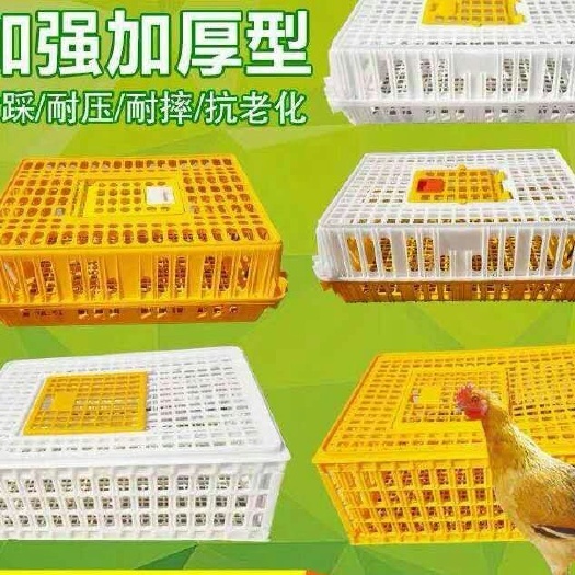石家庄鸡笼  鸡鸭转运笼周转框