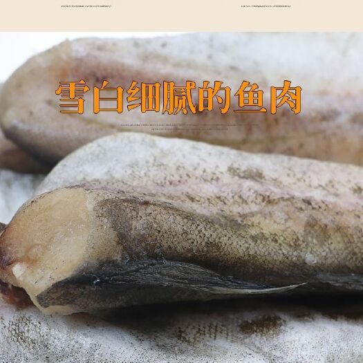 南通冷冻鳕鱼 鳕鱼整条新鲜海鲜水产冷冻无头鱼银狭鳕鱼东北明太鱼海