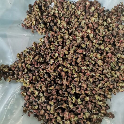 渭南 青花椒