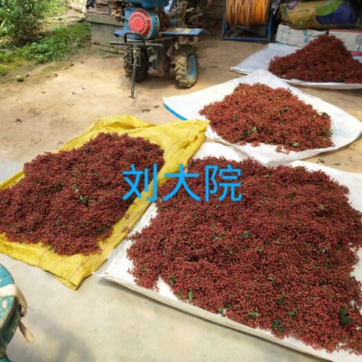 白水县花椒叶  那个熟悉的味道
