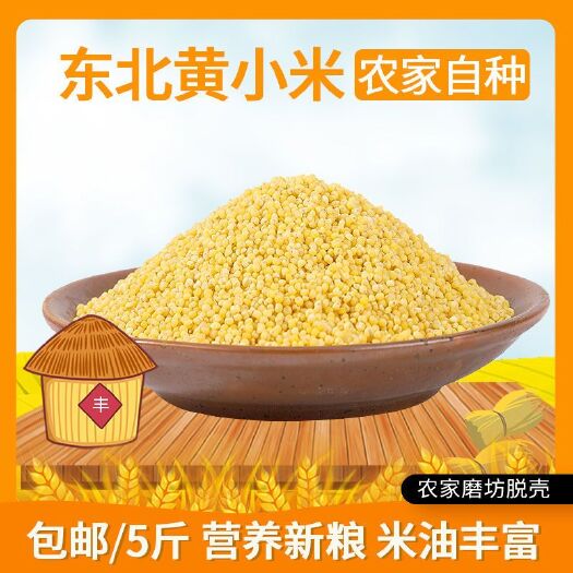 定州市 东北新小米黄小米小米粥农家自产小米月子米宝宝米养胃米5斤包邮
