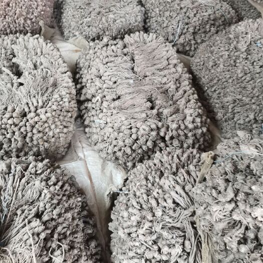 宕昌县自家种植，无硫精品当归
