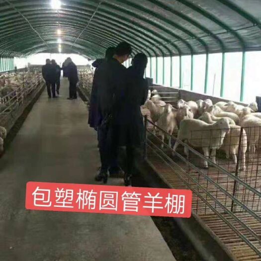 天津钢管大棚  大棚钢管方矩管道路建设工程质量好价格低
