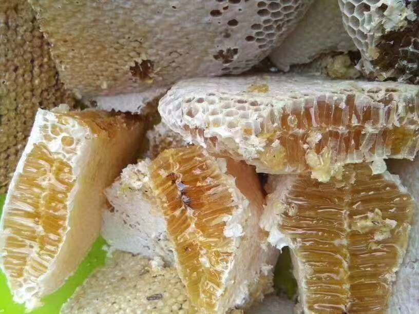 高原百花蜜，假一赔十，支持检测，支持实地考察。年产量1万斤上