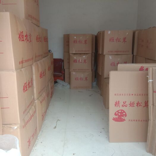 内丘县 姬松茸基地直銷，量大