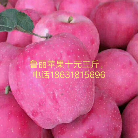 景县金都红苹果  (鲁丽，嘎啦，烟富0)苹果，(秋月，新梨七，黄冠)梨，秋姬