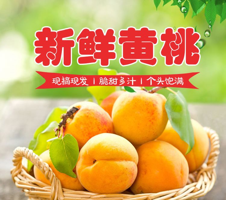 黄桃 湘西环境优美，常年接受阳光的照射，从枝头到您手中。