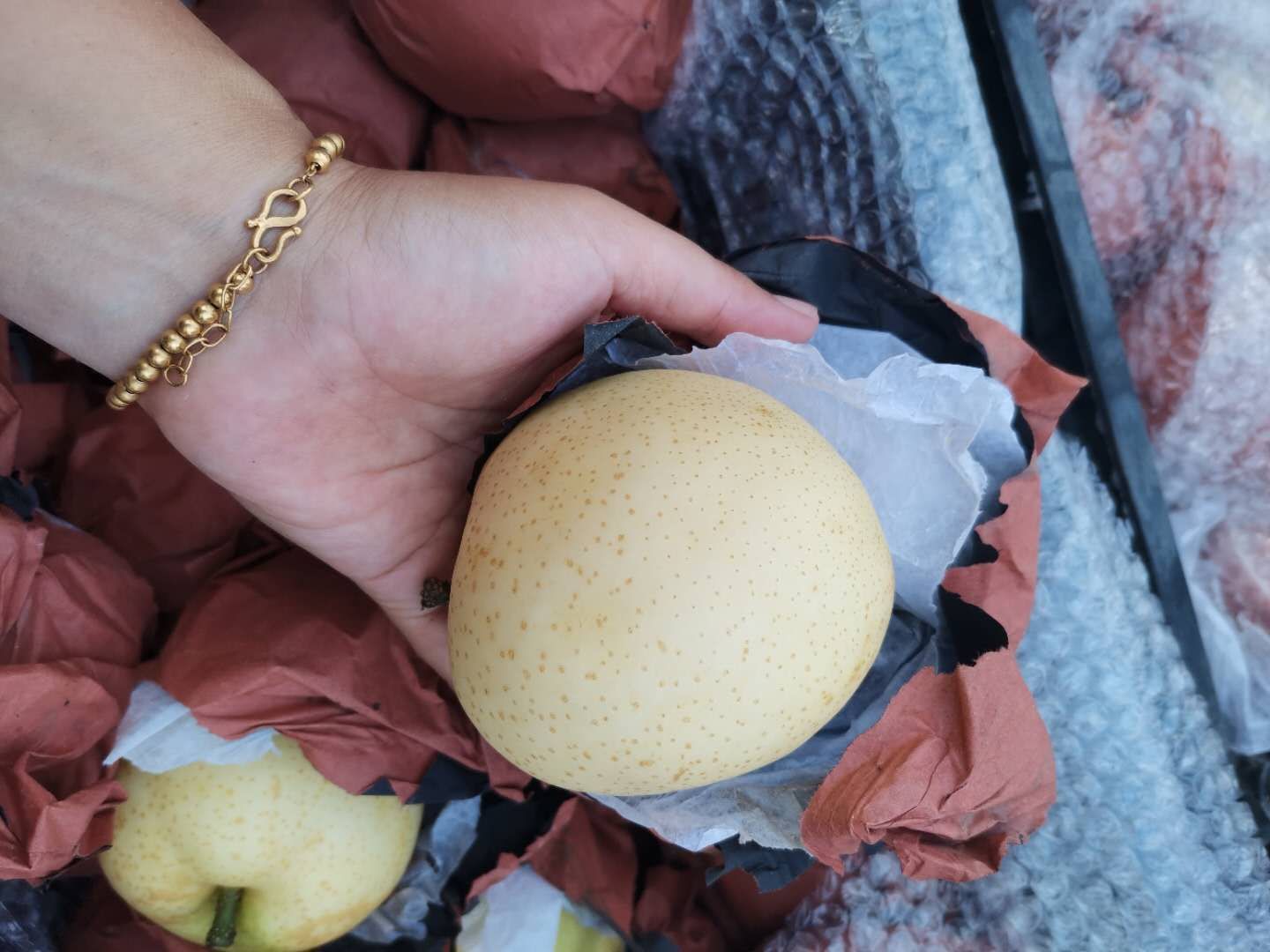 单层纸袋黄金梨,口感脆甜以口感赢得口碑,市场的首选