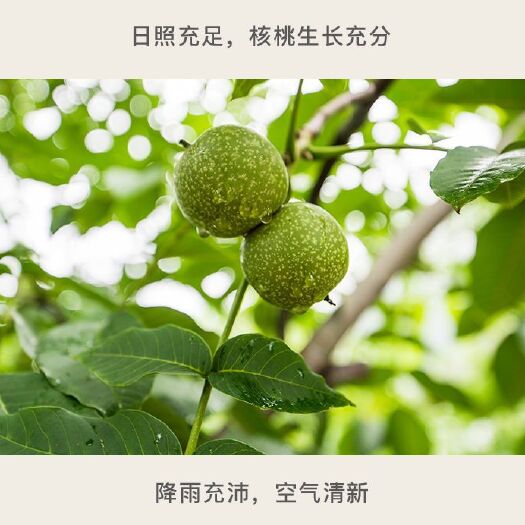 灵宝市 新鲜带皮山核桃