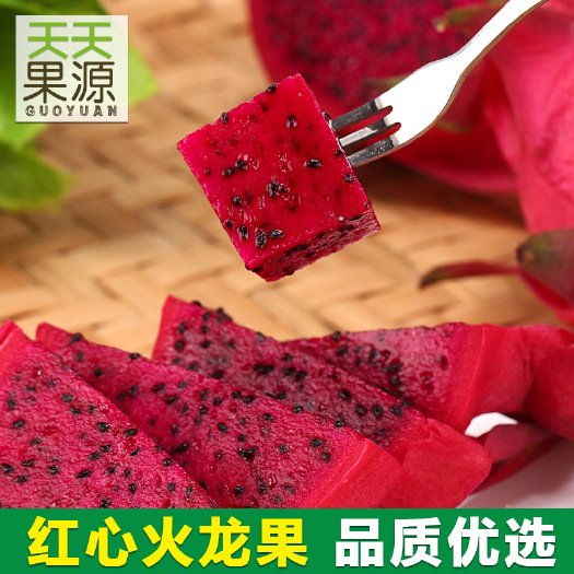 平阳县 产地直发广西金都一号红心火龙果小果5斤京都火龙果时令水果新