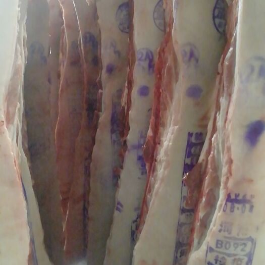  精品白条，猪肉分割品，猪副产品