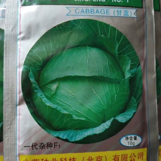 英德市绿甘蓝种子 甘蓝种子，京丰一号，一袋2000粒左右，中甘品种均有，大白菜