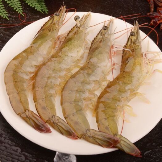 广州明虾  新鲜超大虾鲜活深海虾整箱对虾白虾海鲜
