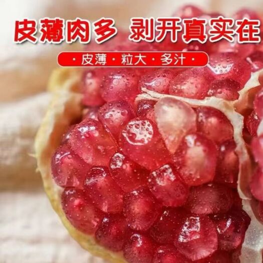 会理市 大凉山会理突尼斯软籽石榴