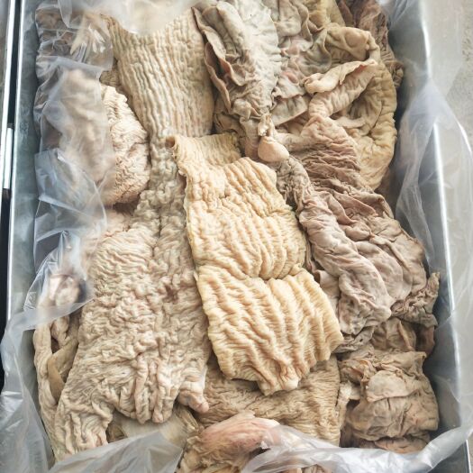 石家庄牛肠 精品牛大肠小肠