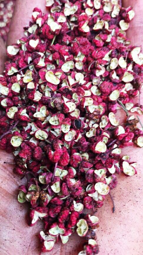 甘谷县 甘肃特级花椒合作社 花椒 花椒籽 花椒叶 长期供应