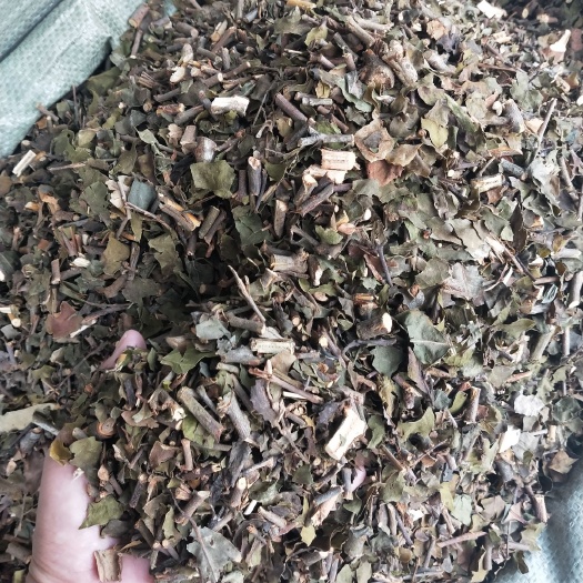 玉林中草药寄生.桑寄生别名量大从优统货全有两个规格