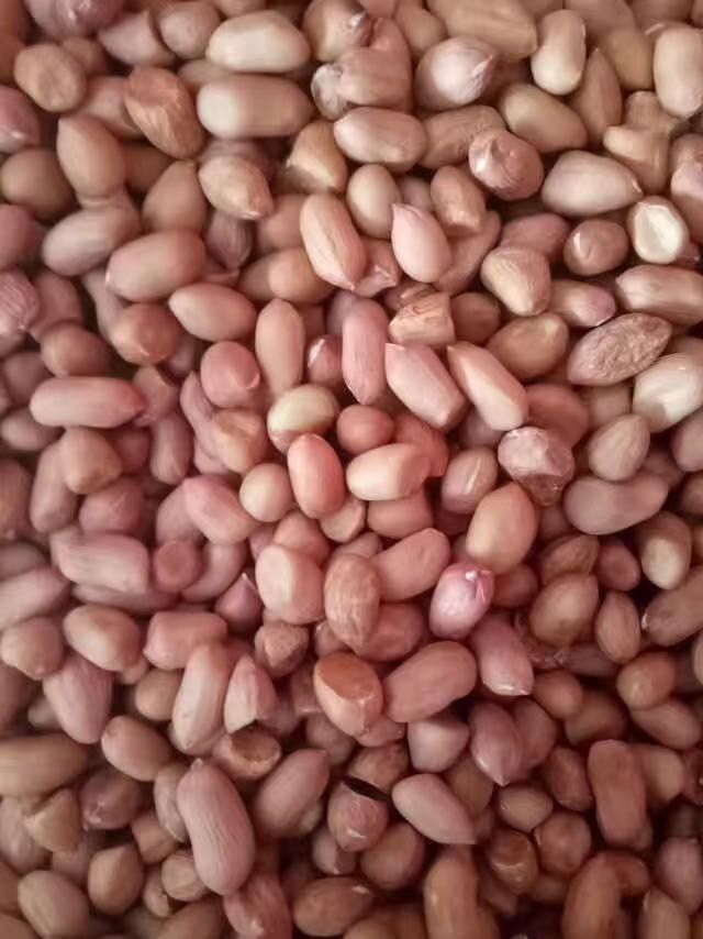 汝南正阳花生新货农家不带壳精选新鲜花生仁榨油下酒菜大一级品