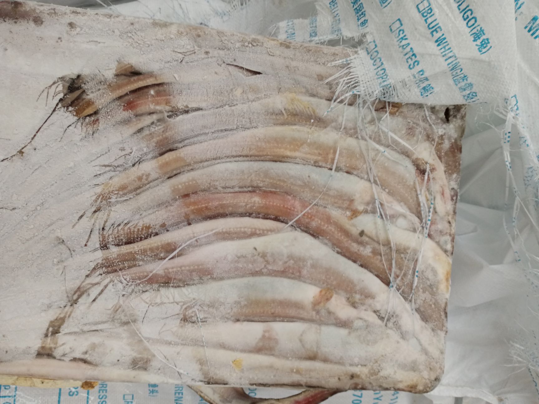 鳗鱼日本料理烤鳗鱼寿司日式白烧鳗鱼 现烤烧鸟专用30P10kg 冷冻-阿里巴巴