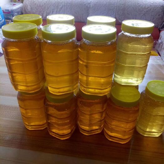 望奎县土蜂蜜 椴树蜜