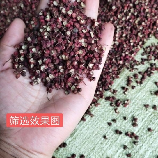 三原县麻椒 一级 干花椒