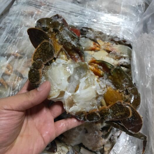 成都青蟹 肉蟹排