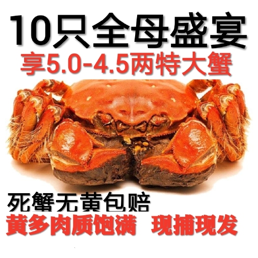 淮安【超低价】皖南水产大闸蟹公母螃蟹5两到0.7两少量也可拿批
