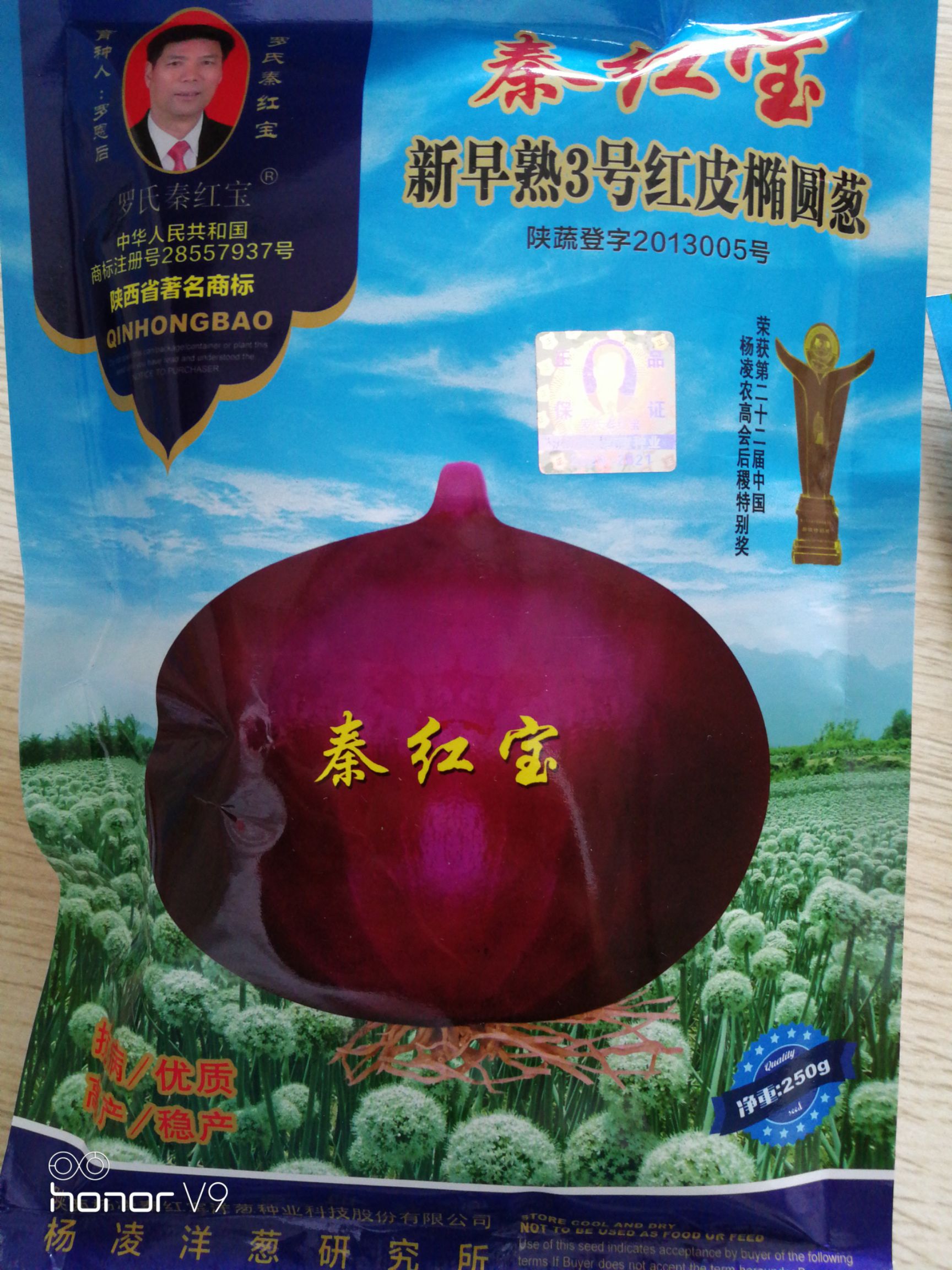 秦红宝洋葱种子,早熟,晚熟,高桩,扁圆型的,价格58元/袋 