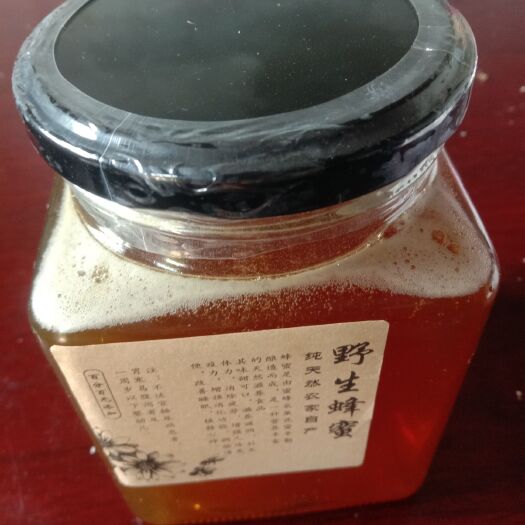 遵义 友情养蜂场，出售蜂蜜，蜂群