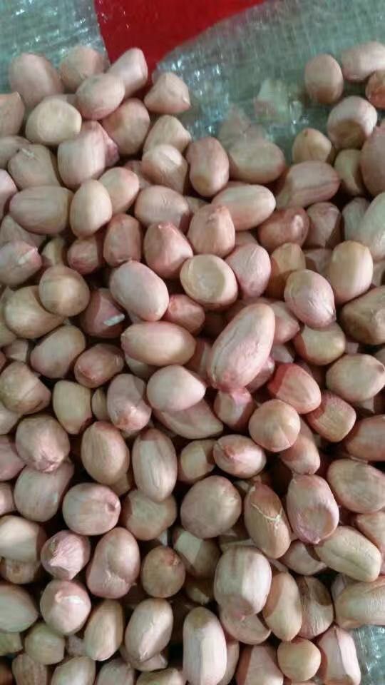 汝南正阳花生新货农家不带壳精选新鲜花生仁榨油下酒菜大一级品