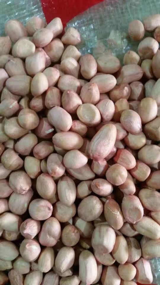 汝南正阳花生新货农家不带壳精选新鲜花生仁榨油下酒菜大一级品