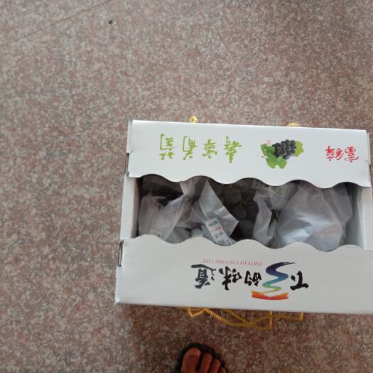 寿宁县 巨峰葡萄，寿宁葡萄，一品一码，地理标志，推介