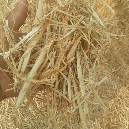 阜阳秸秆类饲料 秸秆一级牛草