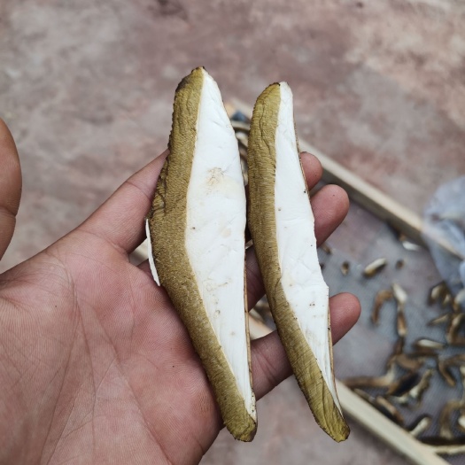 云龙县美味牛肝菌干片