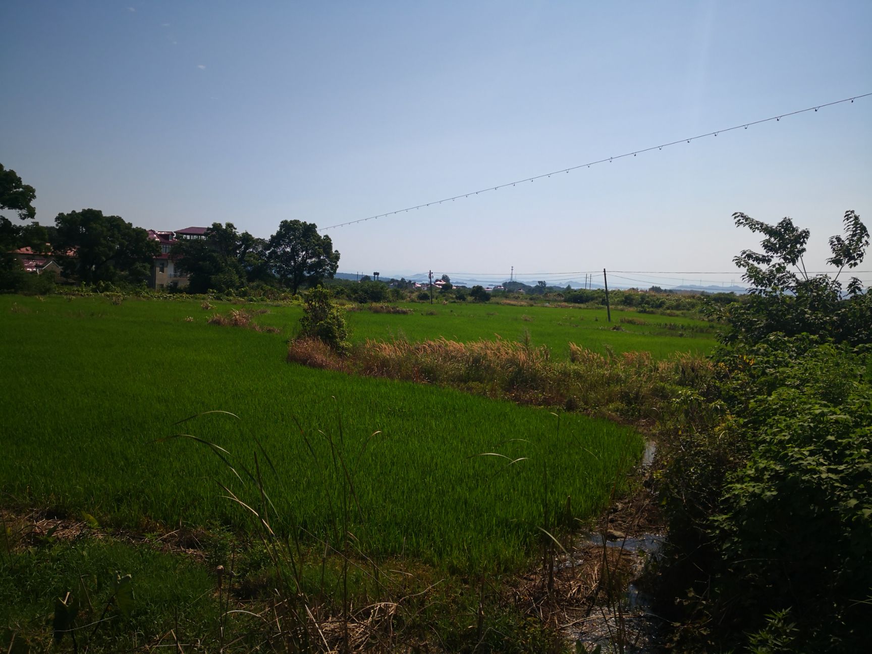  400亩水田合作种植有水库山林地