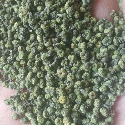 河池江西中花    广西中花吴茱萸，开口货，小颗粒