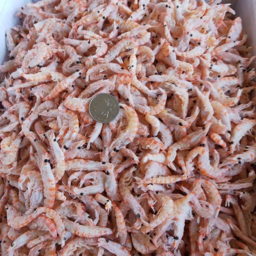 东港市磷虾干磷虾干水产干货