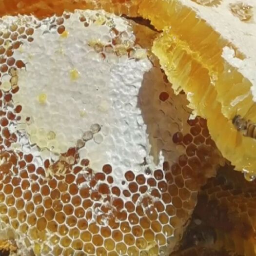 盐源县 天然土蜂蜜