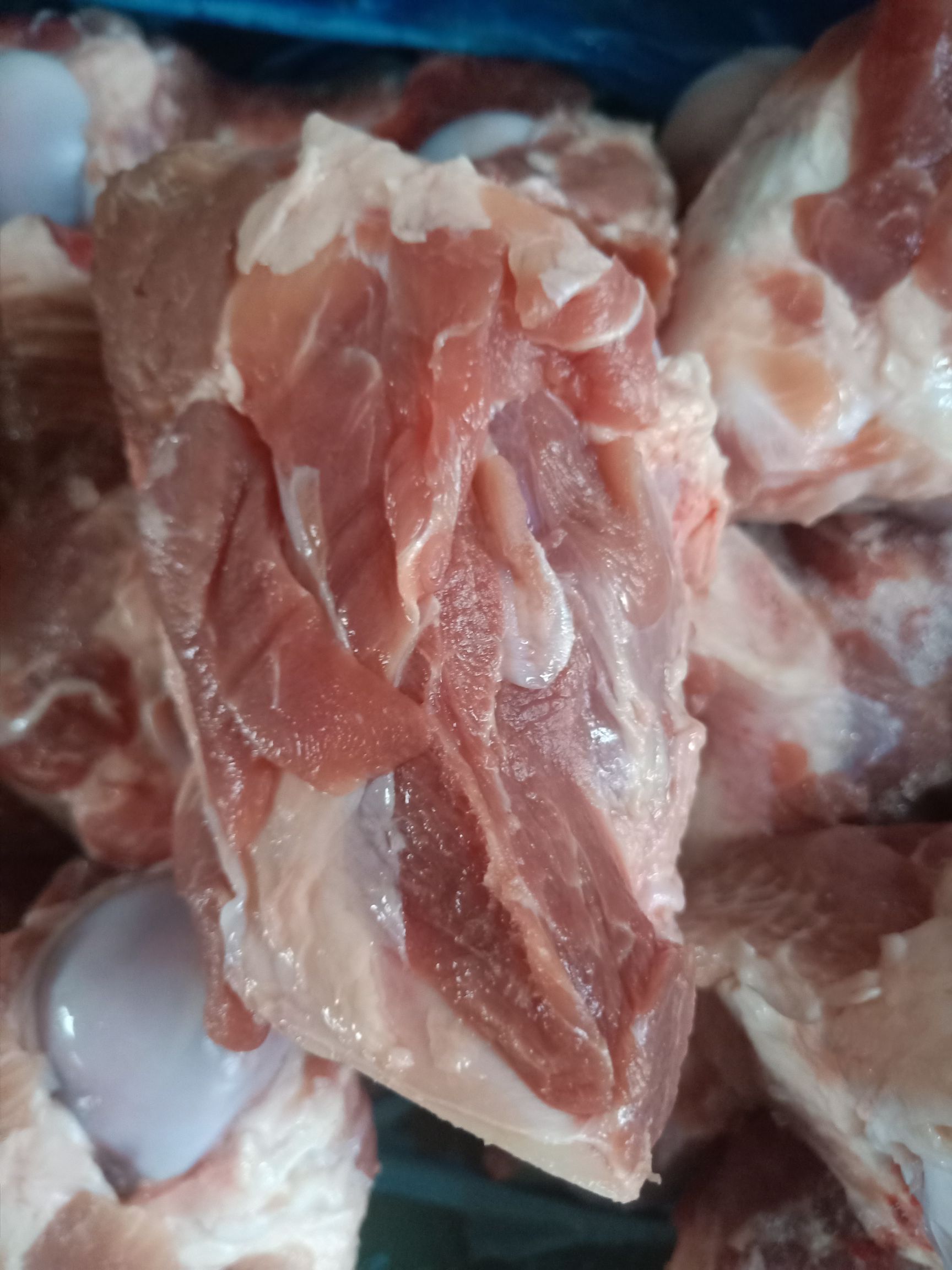 猪骨头  多肉前腿骨