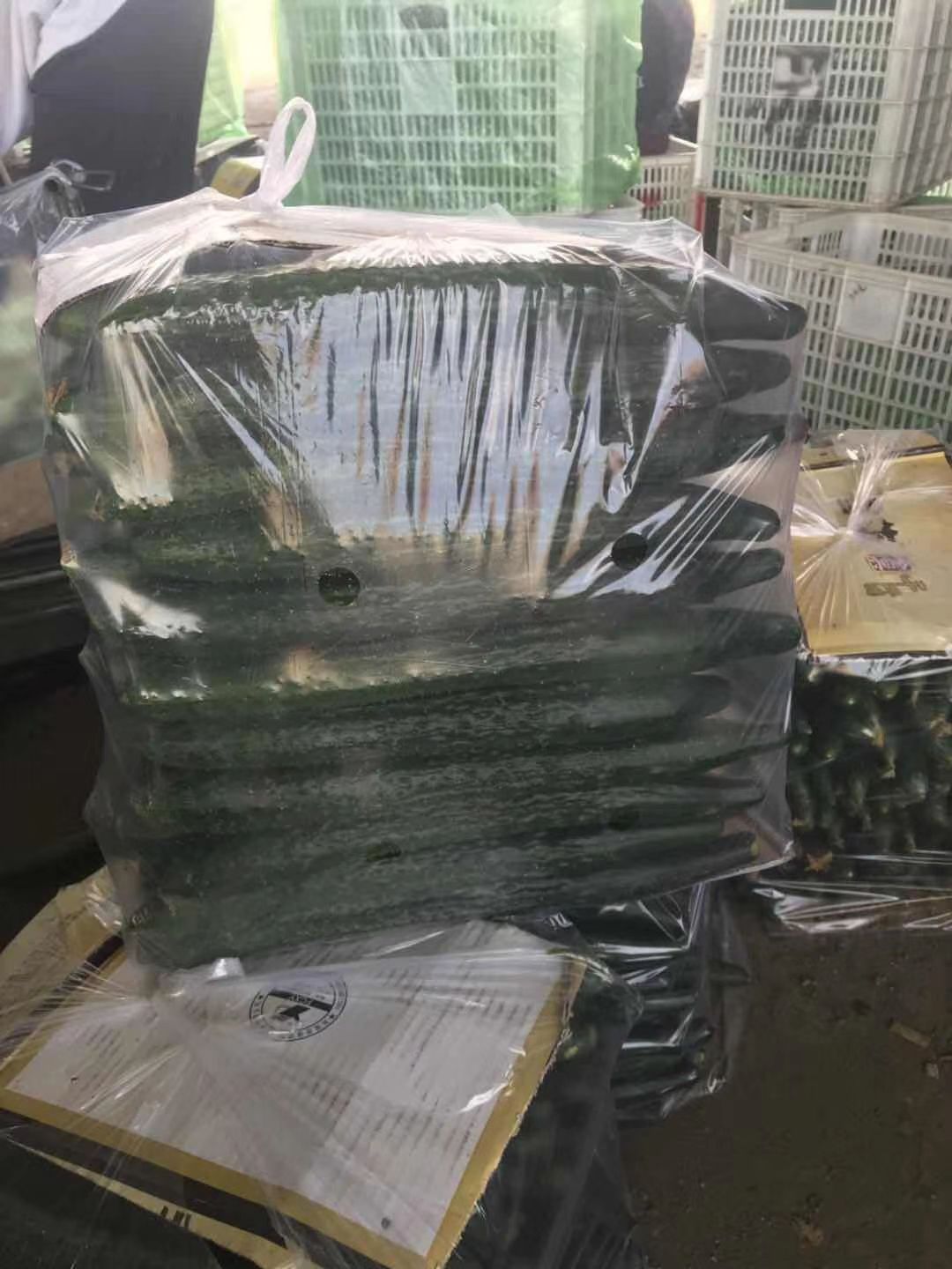  精品黄瓜大量上市啦，条直，颜色好。