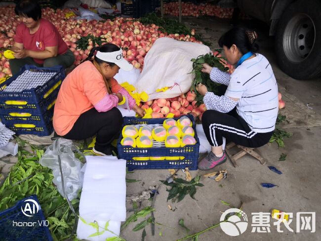 纸袋 红岗山水蜜桃海量上市